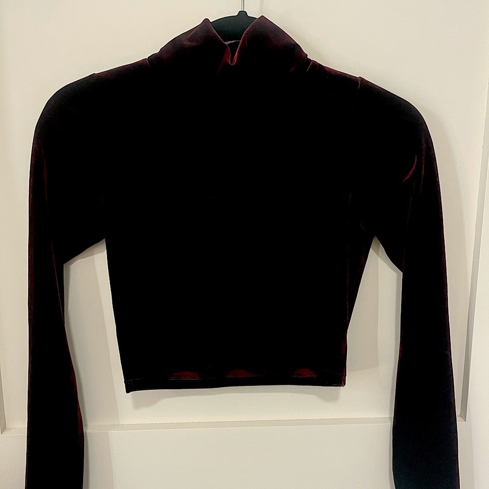 Maroon velour mock-neck crop top